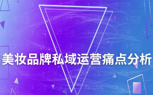 美妝品牌私域運(yùn)營痛點(diǎn)分析