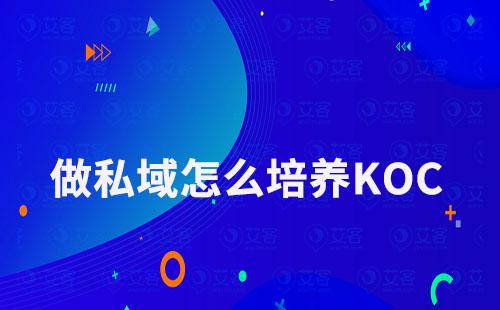 做私域怎么培養KOC