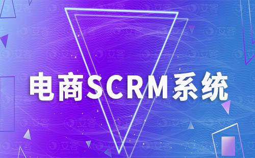 SCRM系統在電商打造私域運營中扮演著怎樣的角色
